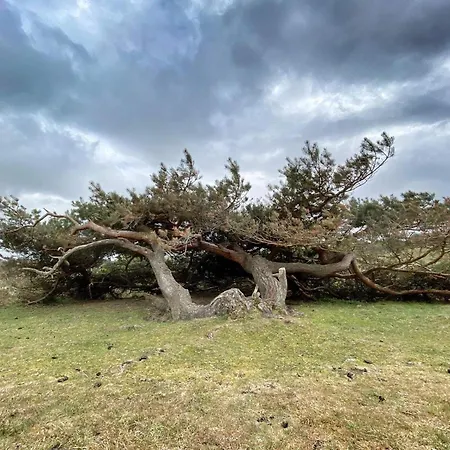 Dom wakacyjny 6 Person In Graested-by Traum *