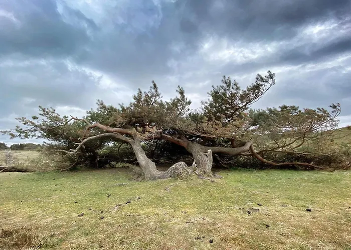 Сasa de vacaciones 6 Person In Graested-by Traum *